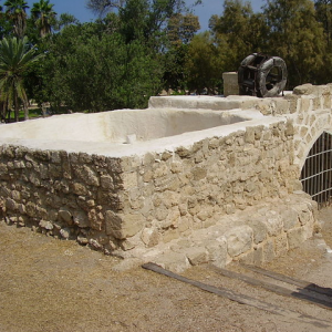 הילדים מכינים את שרשרת באר אנטיליה